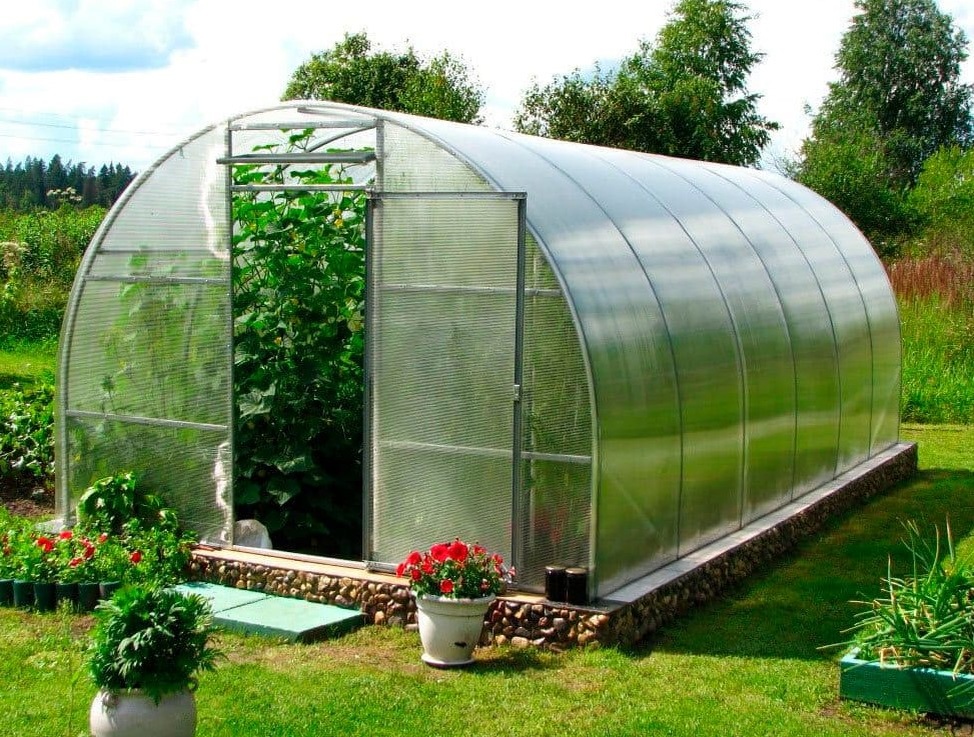 В теплице можно легко поддерживать подходящие условия для многих видов растений.