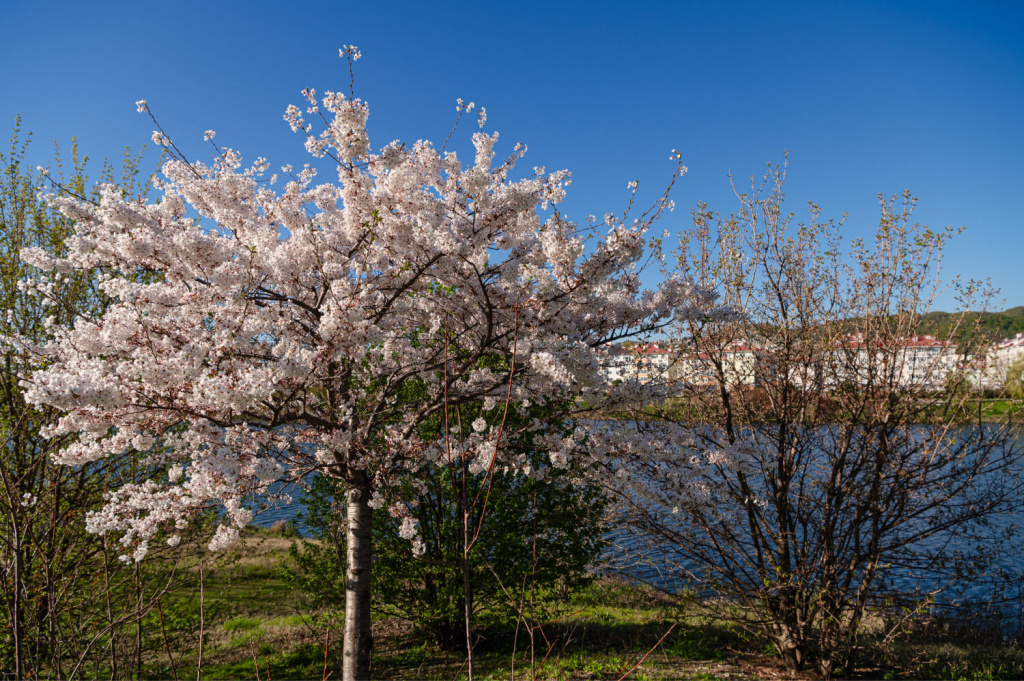    Фото: пресс-служба ФТ «Сириус»