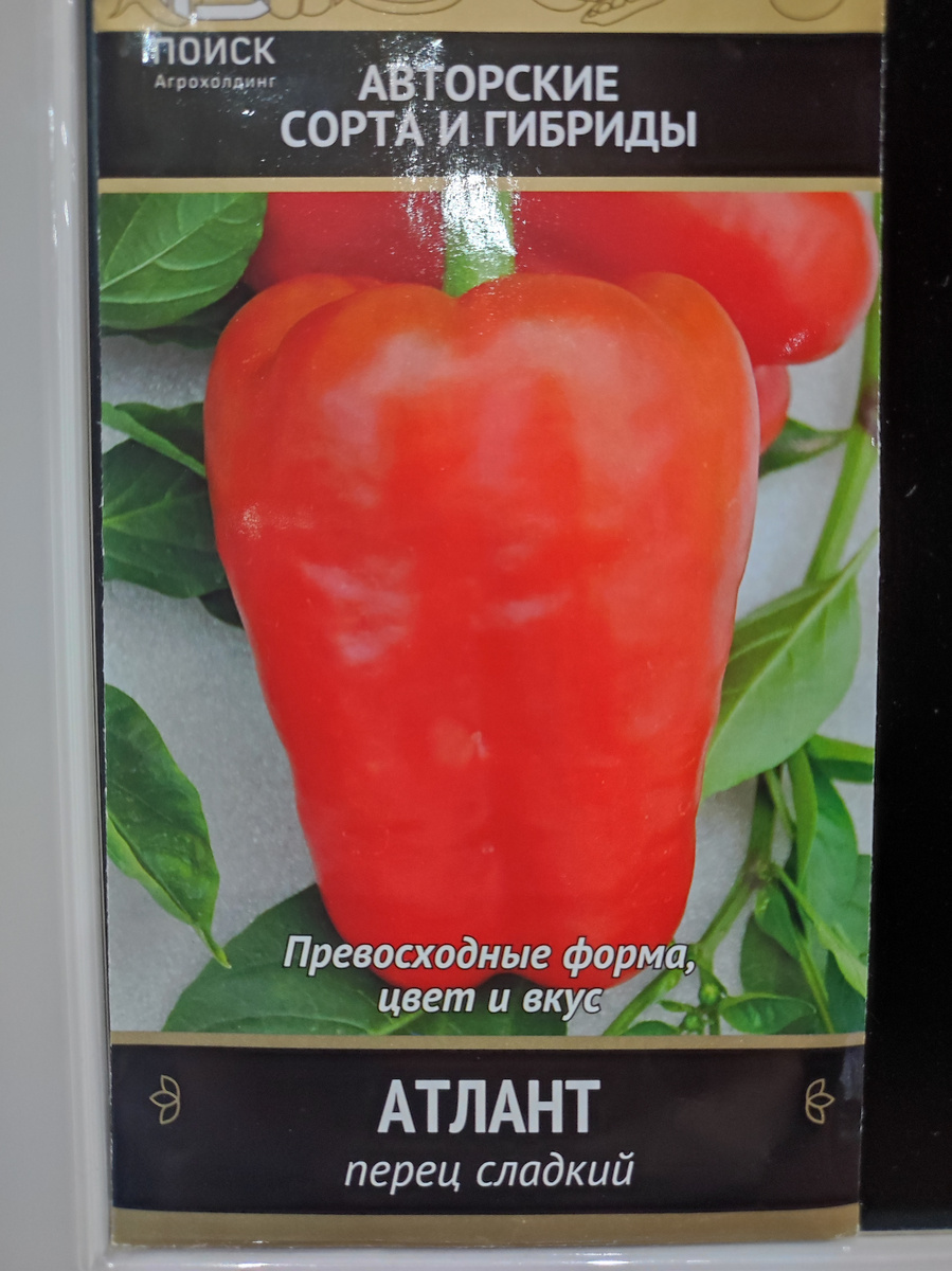Фото автора, упаковка семян сладкого перца сорта Атлант от агрофирмы Поиск, ноябрь 2024 года