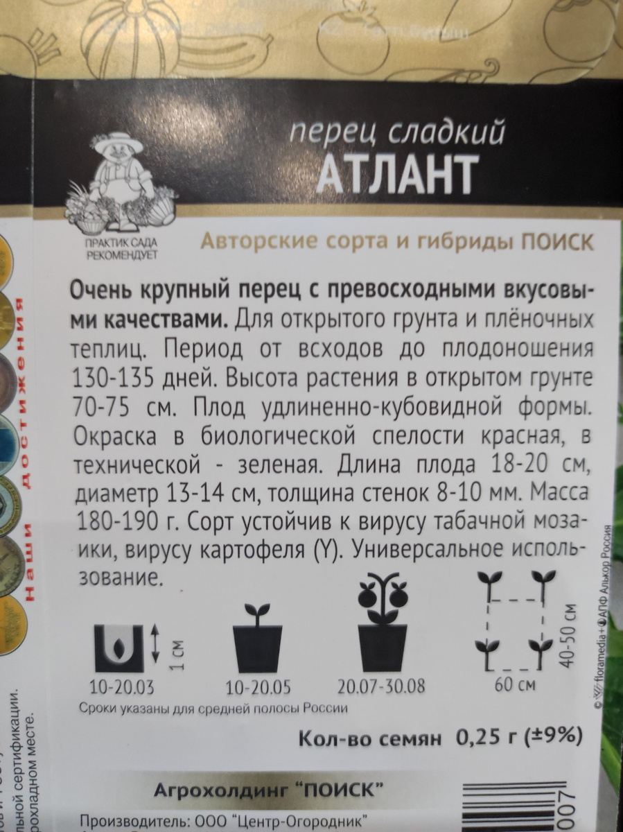 Фото автора, упаковка семян сладкого перца сорта Атлант от агрофирмы Поиск, ноябрь 2024 года