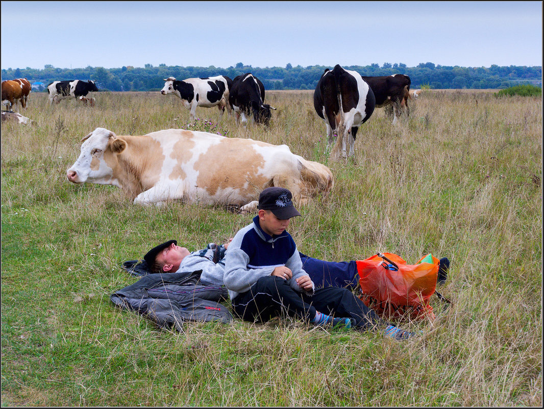 пастух спит, работа кипит