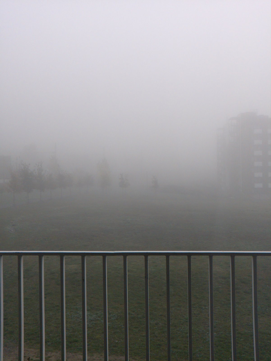 Ноябрь в Праге. Ещё недавно яркий, нарядный лес, разделся почти донага и скрылся за туманом