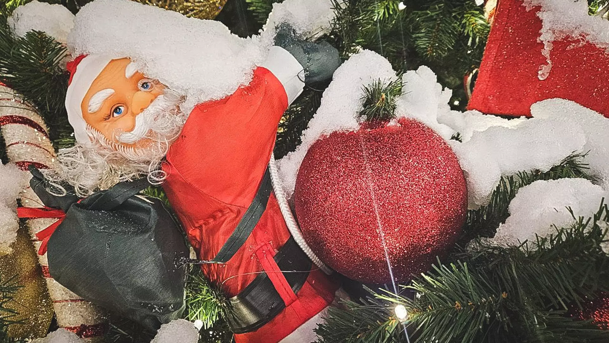 Фото: 1MI. Дед Мороз