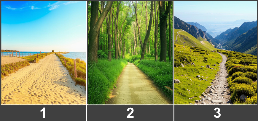 Выберите путь 