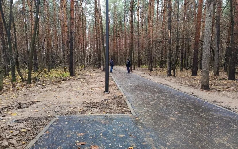    Завершается благоустройство лесополосы за бывшим ТРК Столица в Ижевске