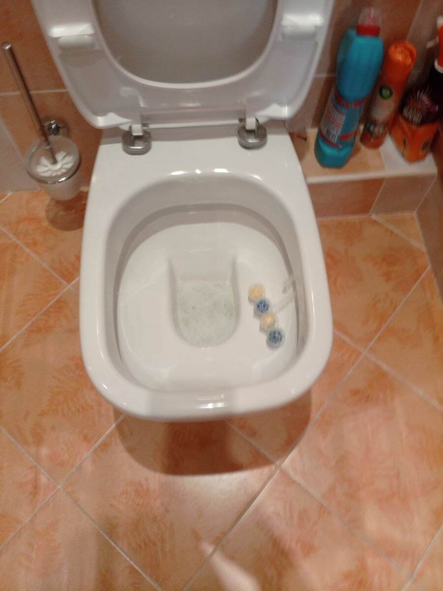 Не каждый способен вычистить унитаз до такого состояния. Проверено. 