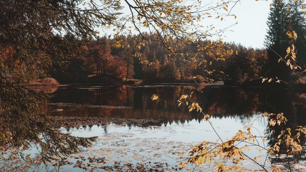    Добровольцы нашли тело второго рыбака, пропавшего в Сургутском районе