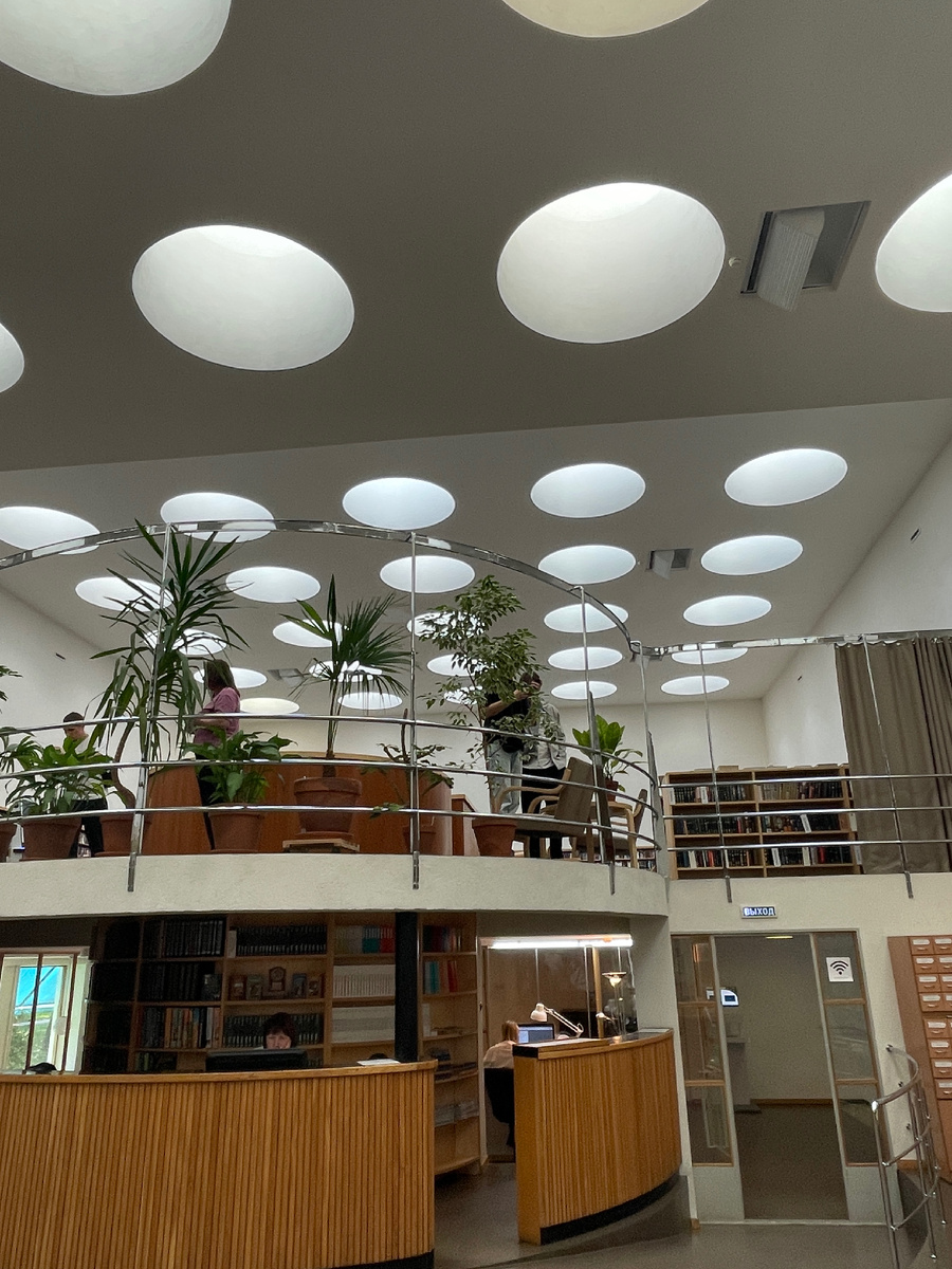 Известные потолочные окна Библиотеки