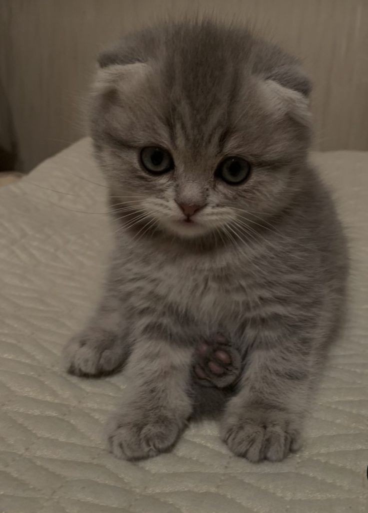 фотография из интернета