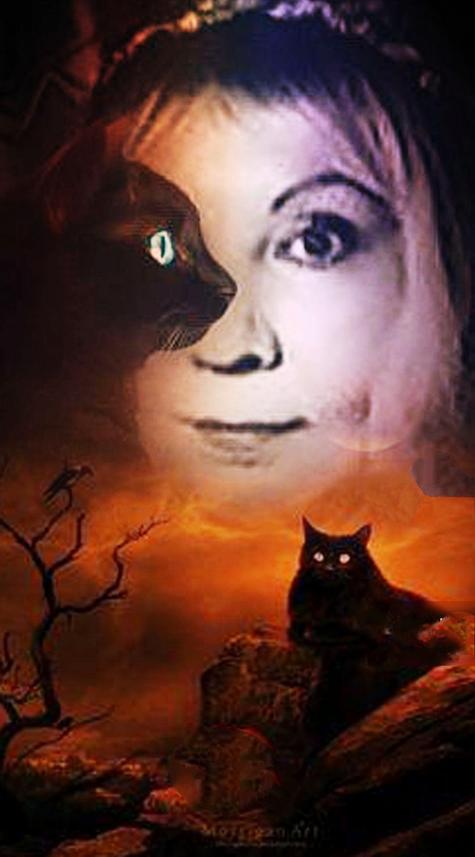 Фотоколлаж автора статьи 