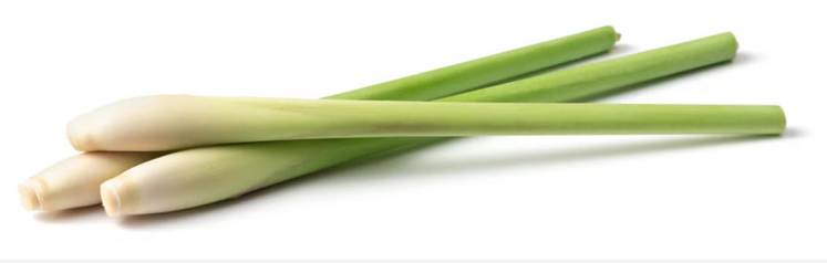 Лемонграсс (лимонная трава, лимонное сорго или цимбологон)