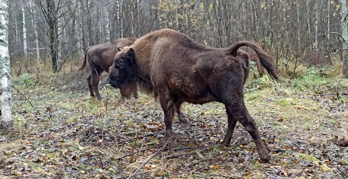    Фото: Минприроды