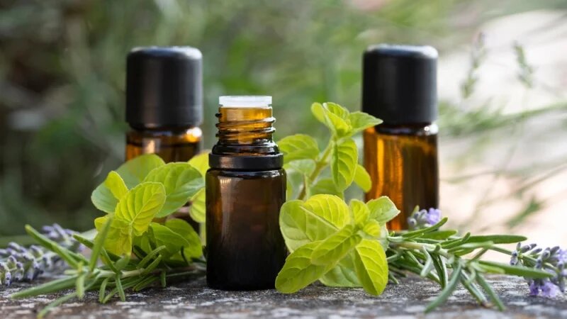 (Tamara B/Shutterstock)