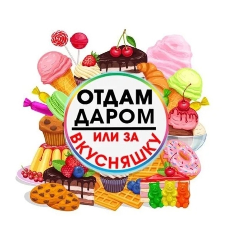 От од. Отдам даром чернушка. Отдам даром чернушка. Группа отдам даром. Отдам даром надпись.