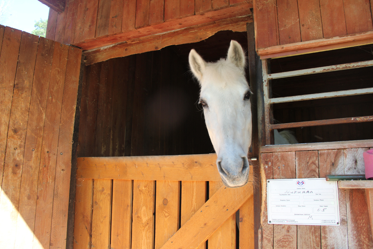 Конюшня "Атлас-Парк"