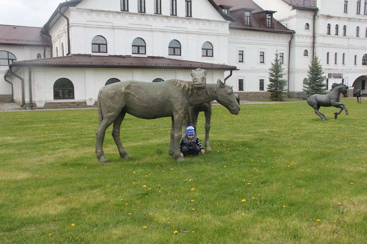 На территории национального конного парка "Русь"