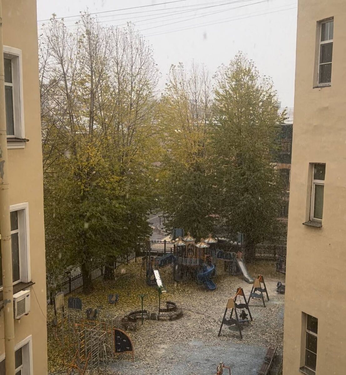 Первый снег в Петербурге мокрый и мимолетный