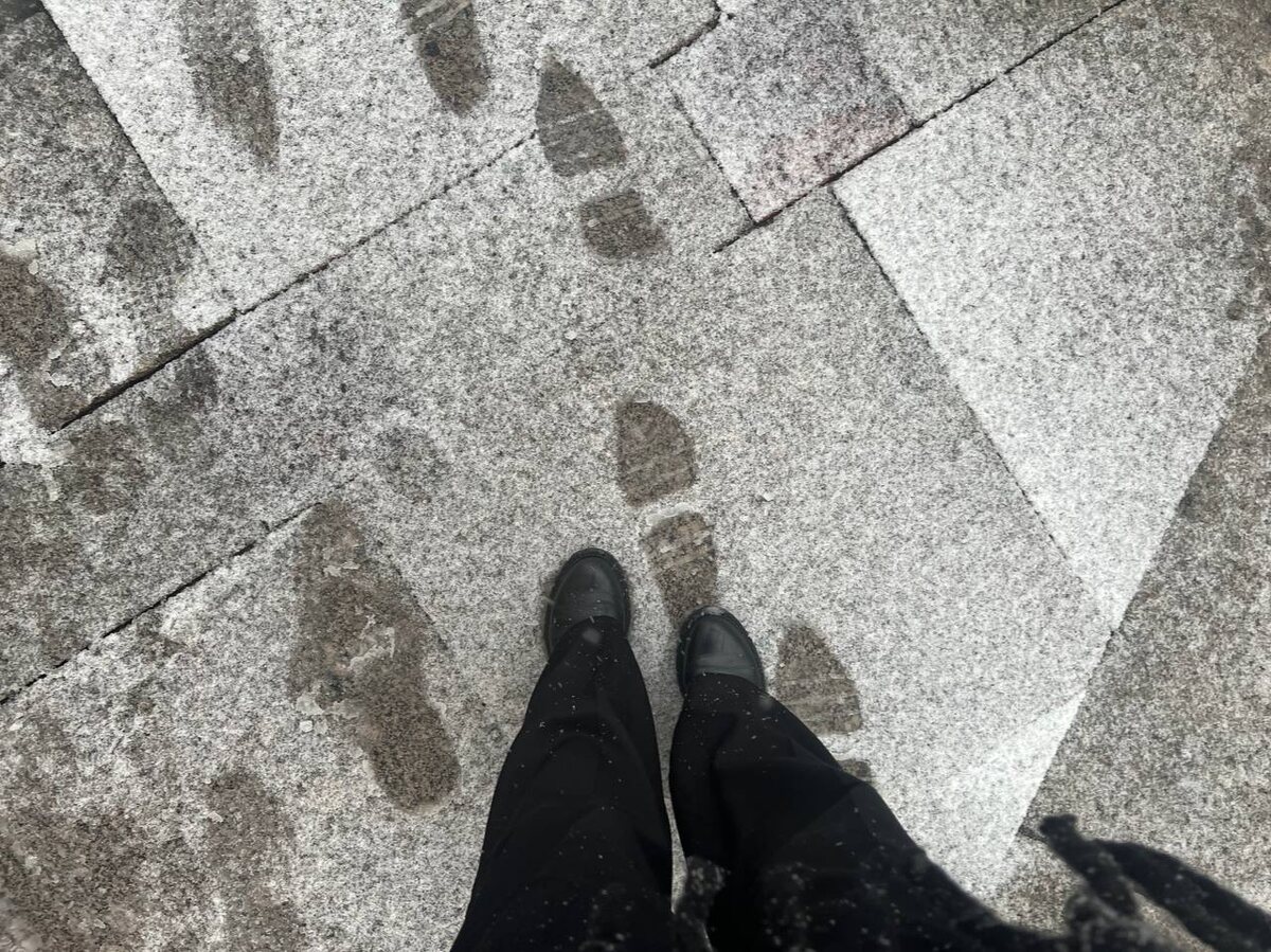 Петербургский фирменный коктейль — снегодождь