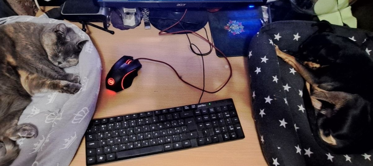 фото автора. Сегодня редакция не вся на работе - самых стойких двое всего.