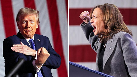 Из цитируемого источника 