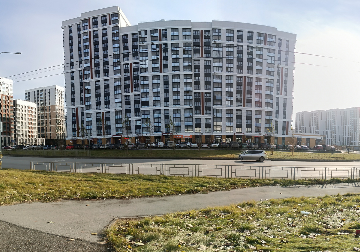 В одном из новых районов моего города. Фотография автора, ноябрь 2024 года. 