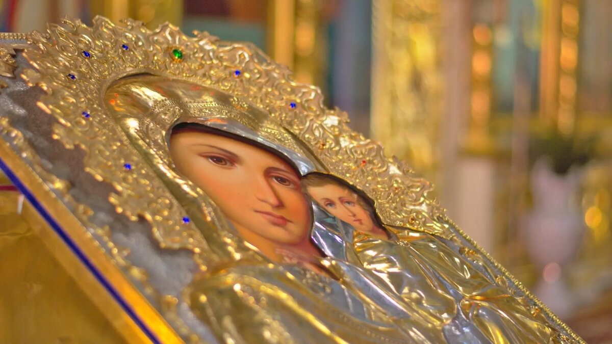     Источник: novostivolgograda.ru