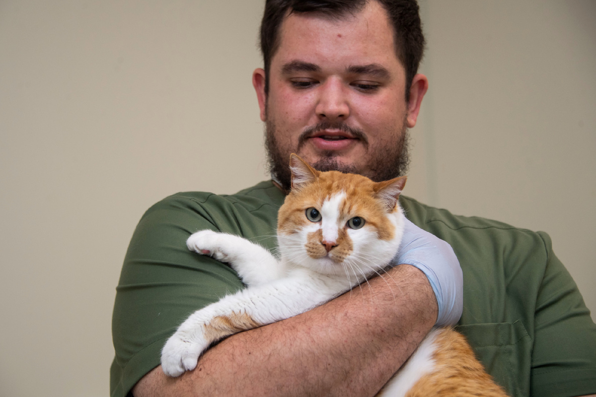 Мы плохого не посоветуем.