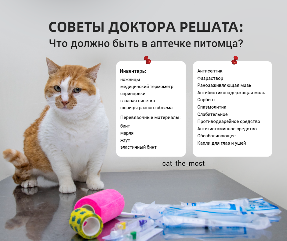 Сохраняйте чтобы не потерять!