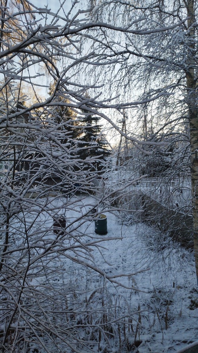 И пейзаж за окном не порадовал, хотя я люблю зиму