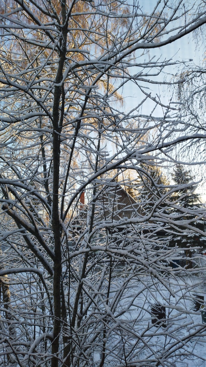 А утро было дивное... Фото автора