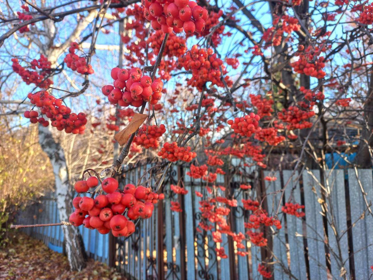 Фото автора.