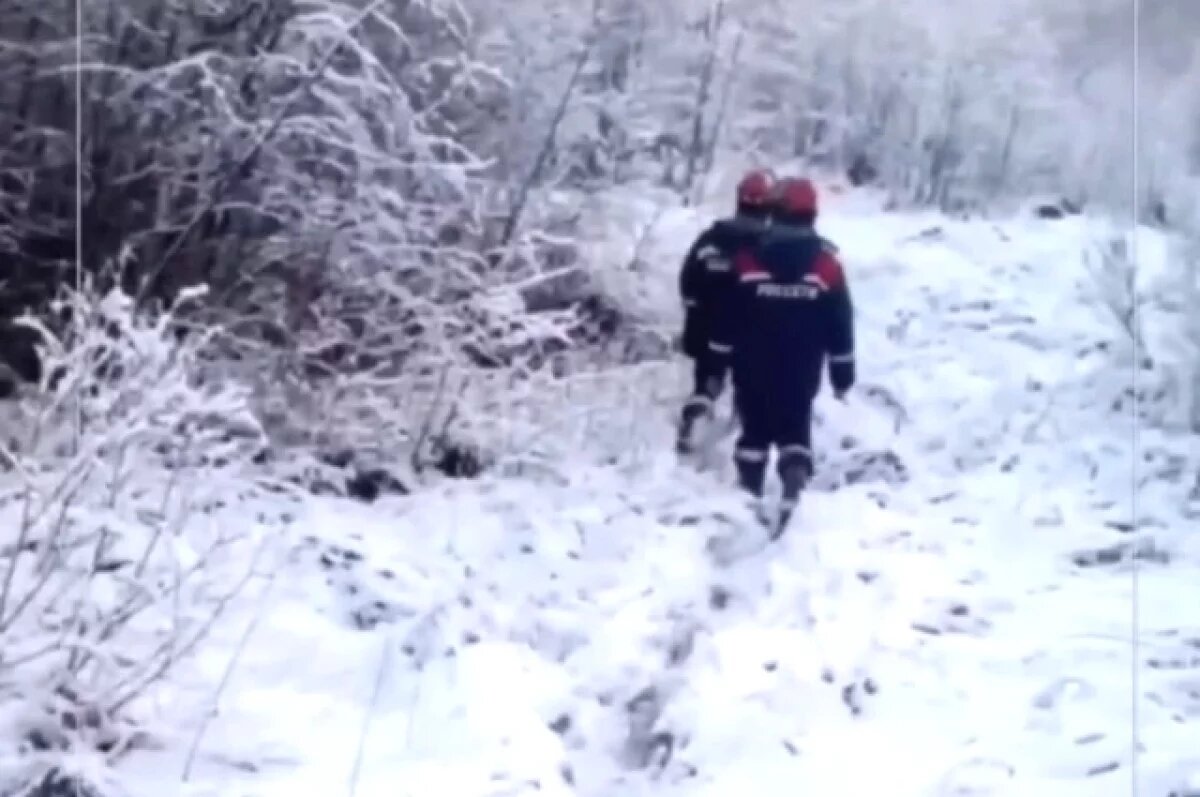    Пируэты на дорогах.