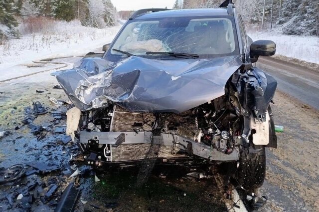    Водитель погиб на месте. Фото: ГИБДД по Архангельской области