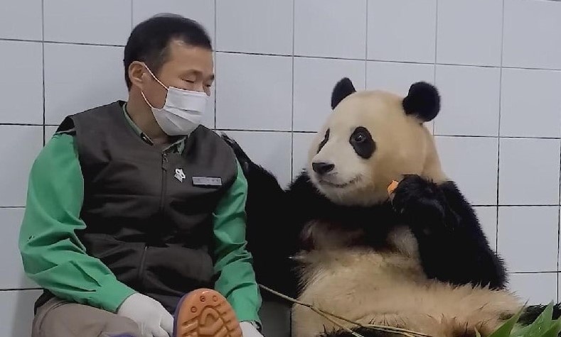 Фото: кадр из видео CCTV