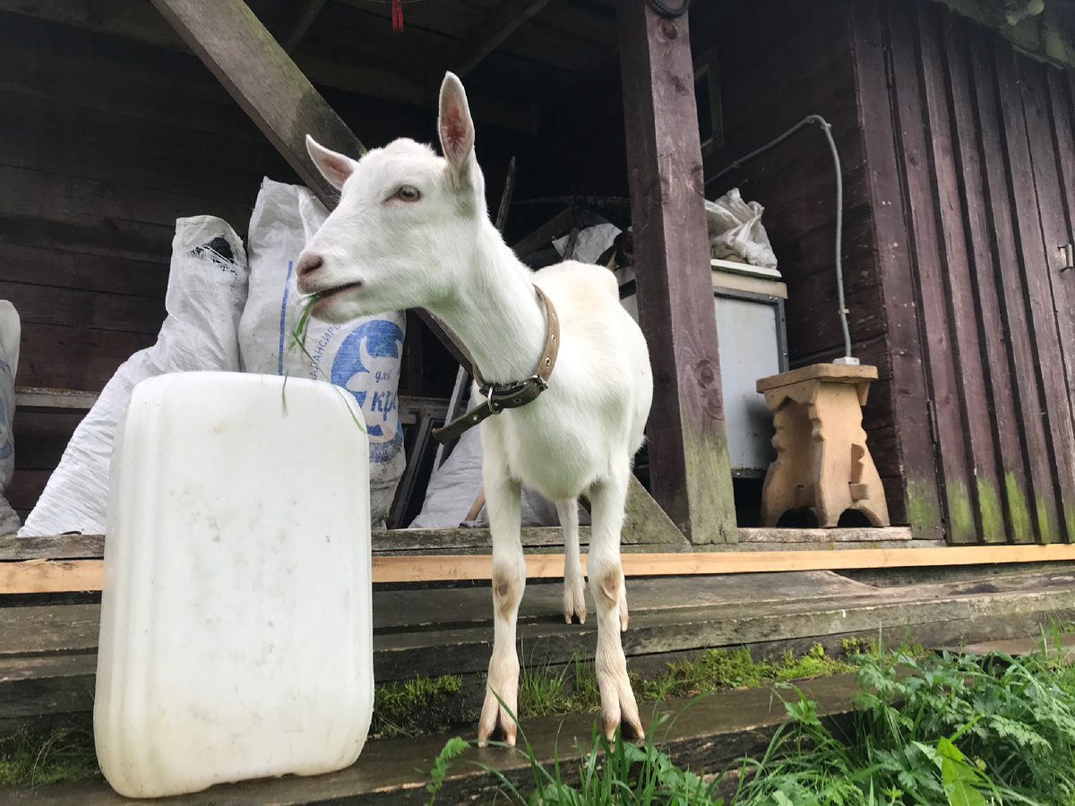 Фото автора 