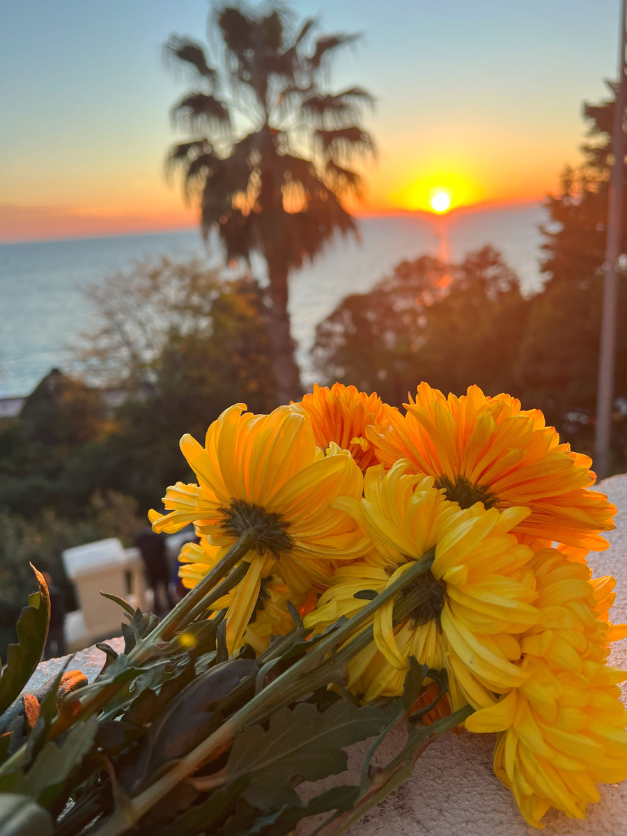 порадуйте себя небольшим букетом цветов, если вы сейчас не в отношениях. Маленький знак внимания для себя любимой.