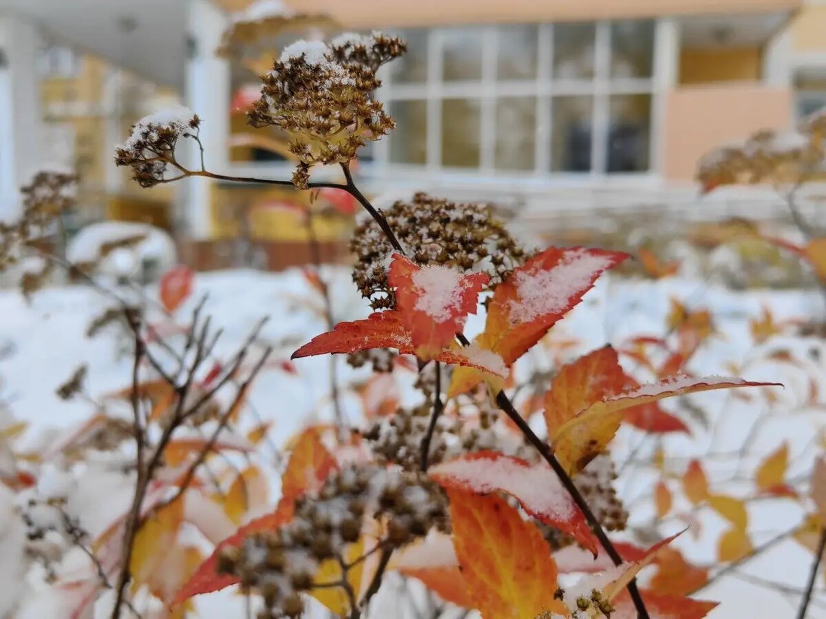     © "Интерфакс". Марина Леонова