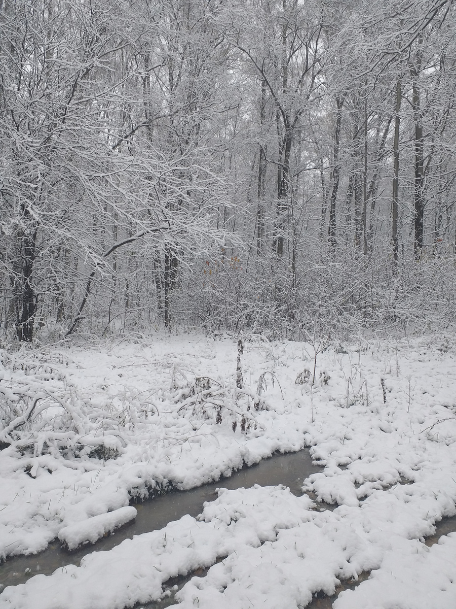 Северное Тушино в зноябрь 2024