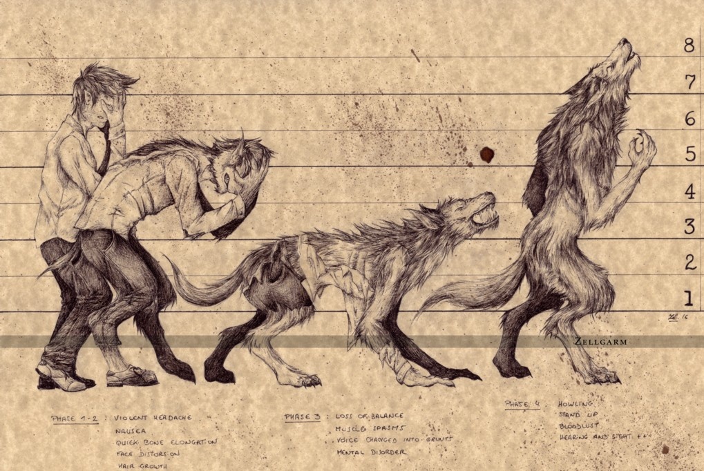 Превращение человека в оборотня-волколака. Картинка взята из свободного доступа