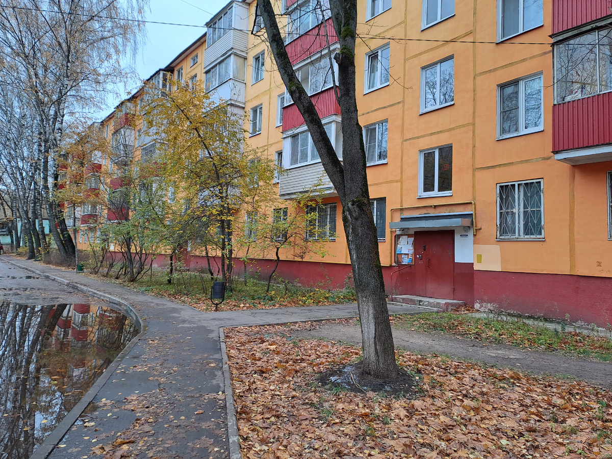 Вот в этот весёленький, оранжевый я его привезла.