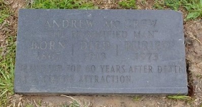 Надгробный камень Андерсона МакКрю. (Изображение Find-a-Grave)