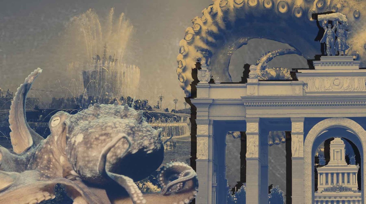    Коллаж: Daily Storm