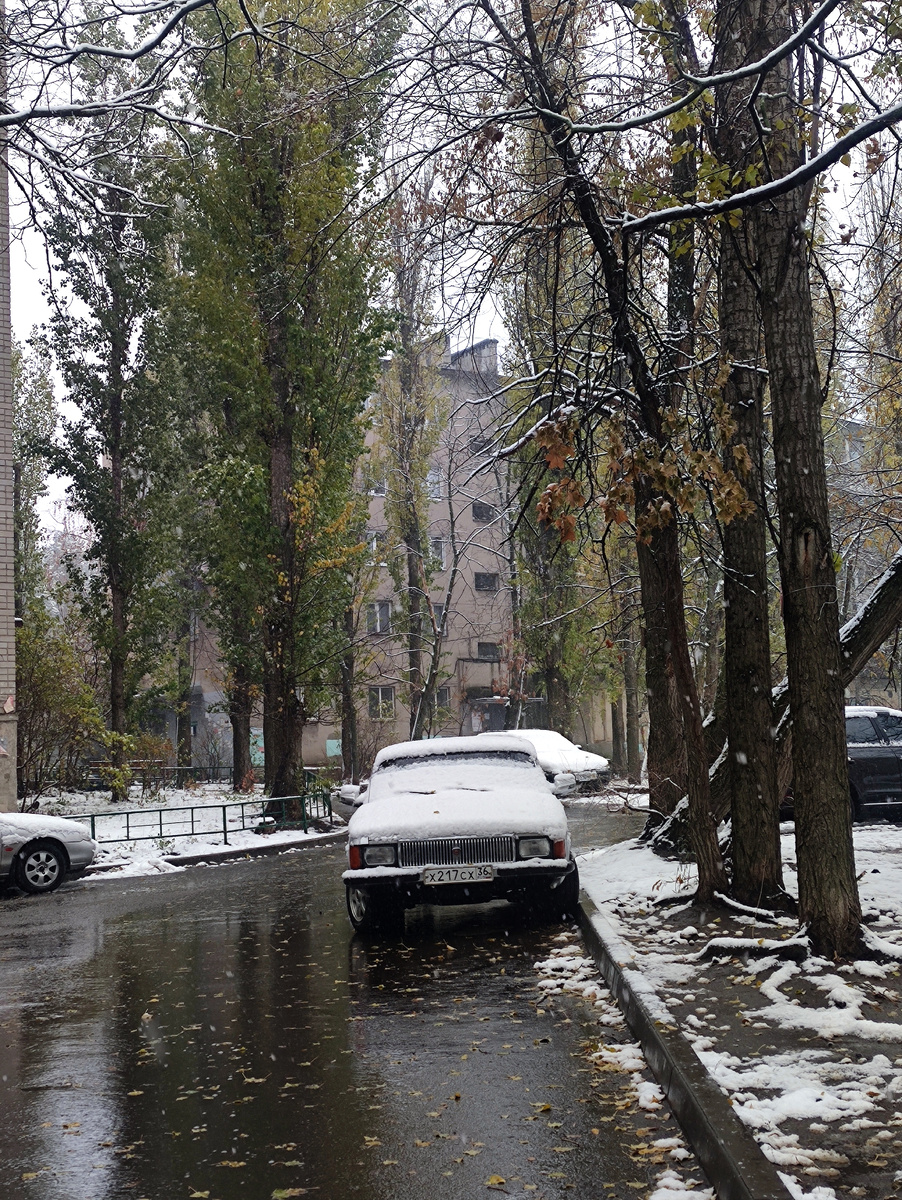 Погодка шепчет "Сиди дома"