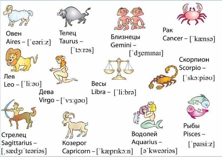Вот такие милые Zodiac signs