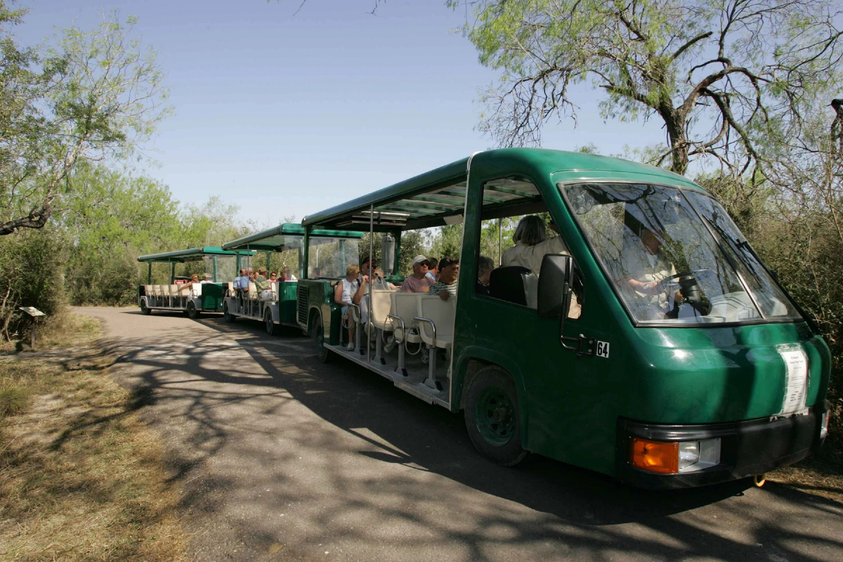 Фото из интернета