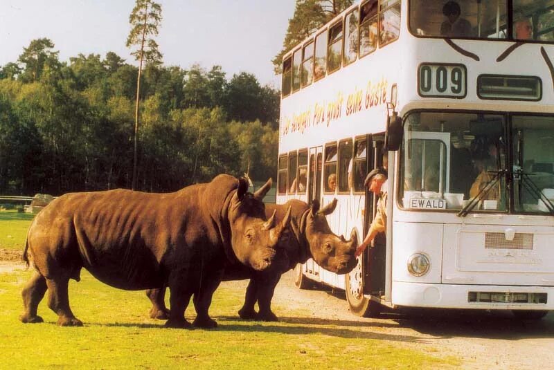 Фото из интернета