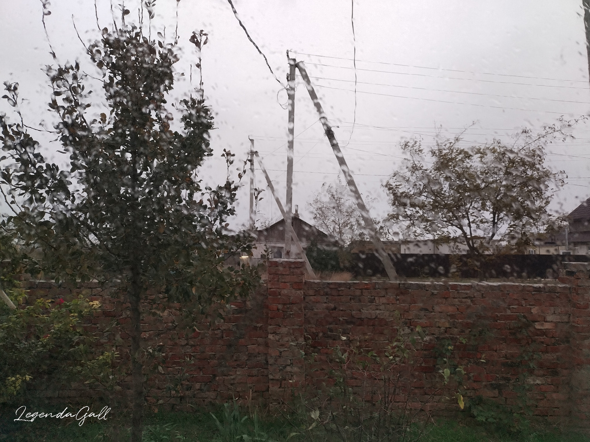 Наш сегодняшний дождик