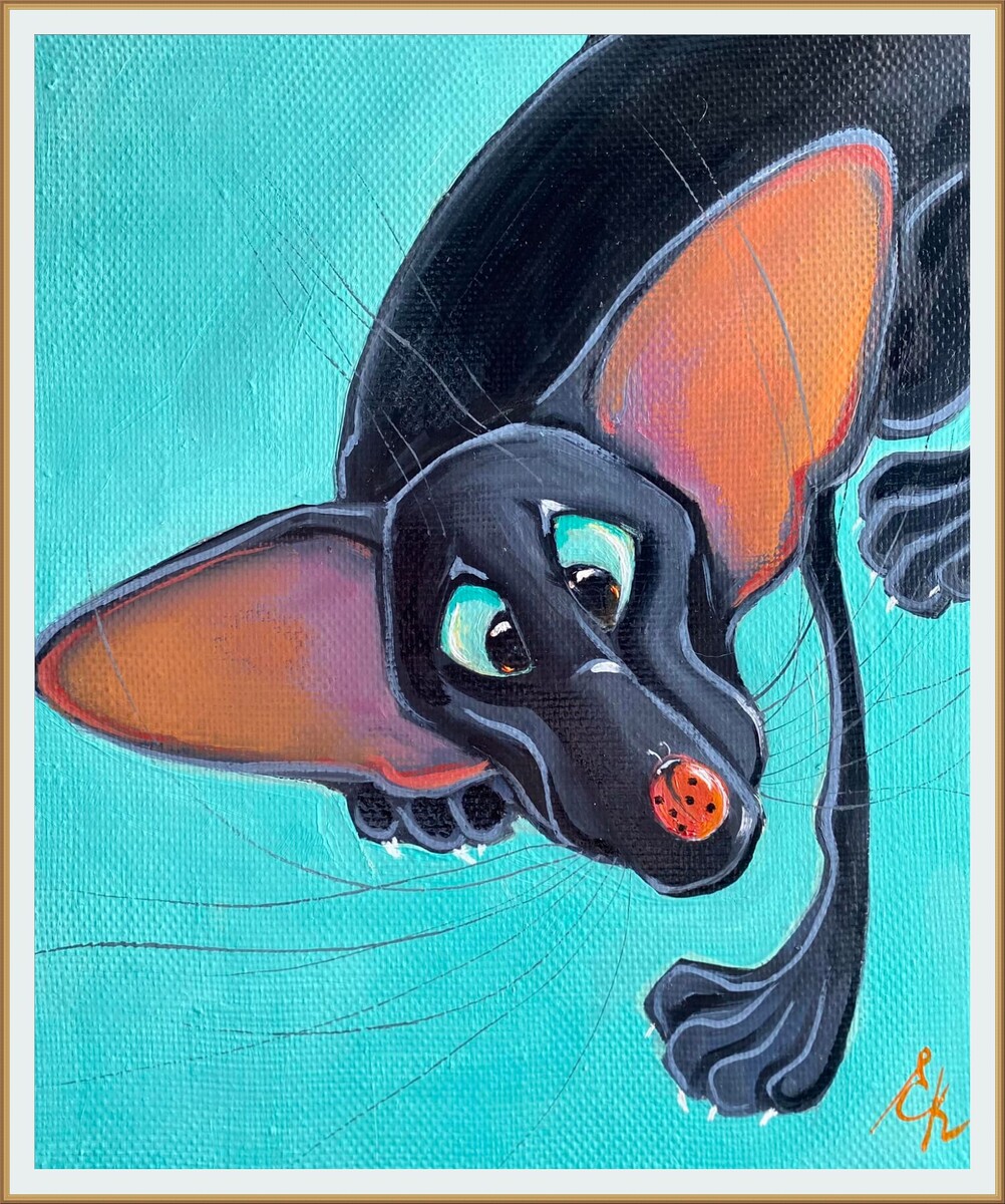        ,  30*25
