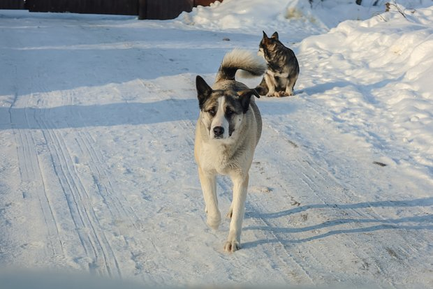 Фото: Elena Mayorova / Globallookpress.com 
