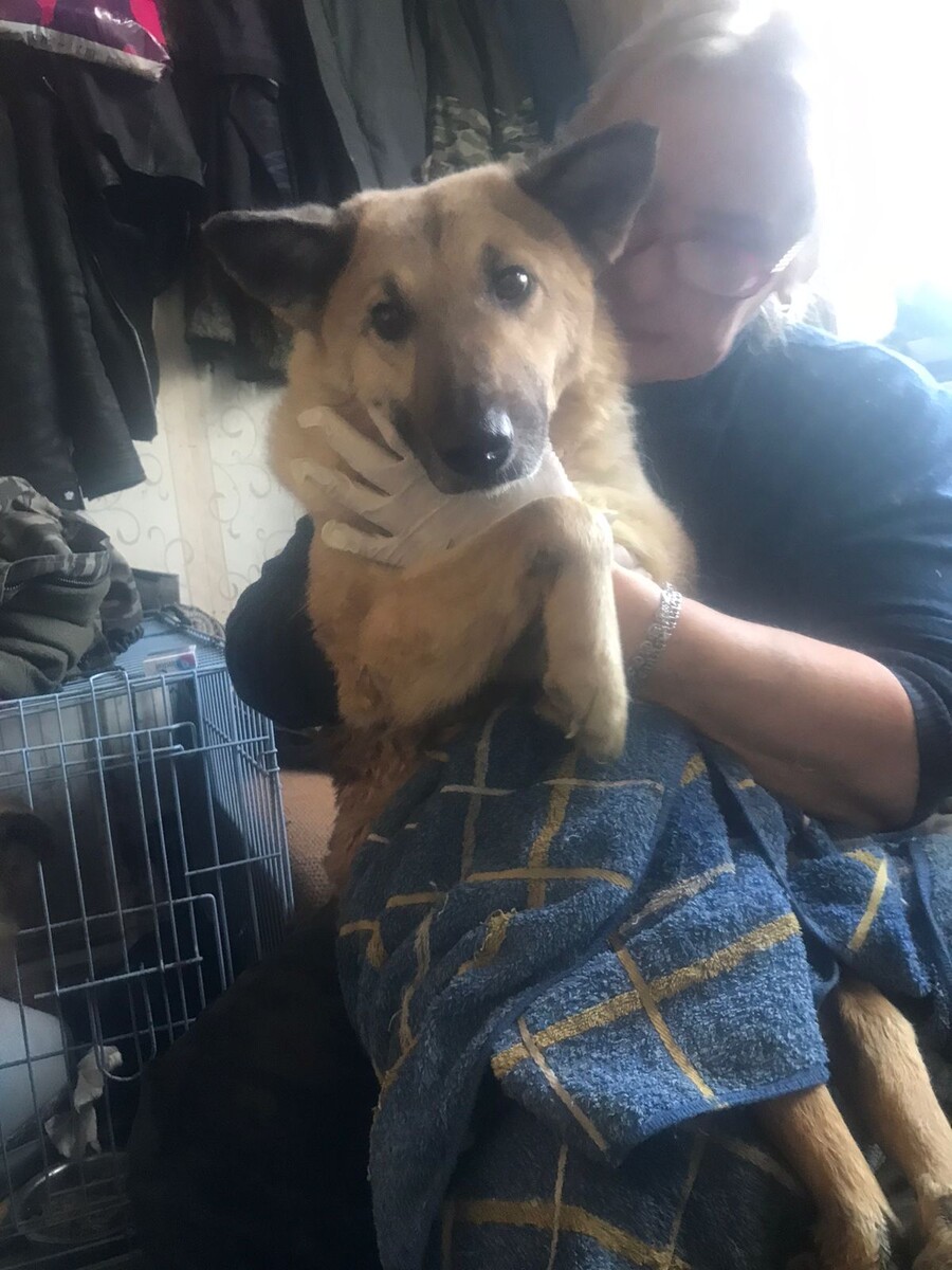 Риска спинальница. Моем ежедневно.